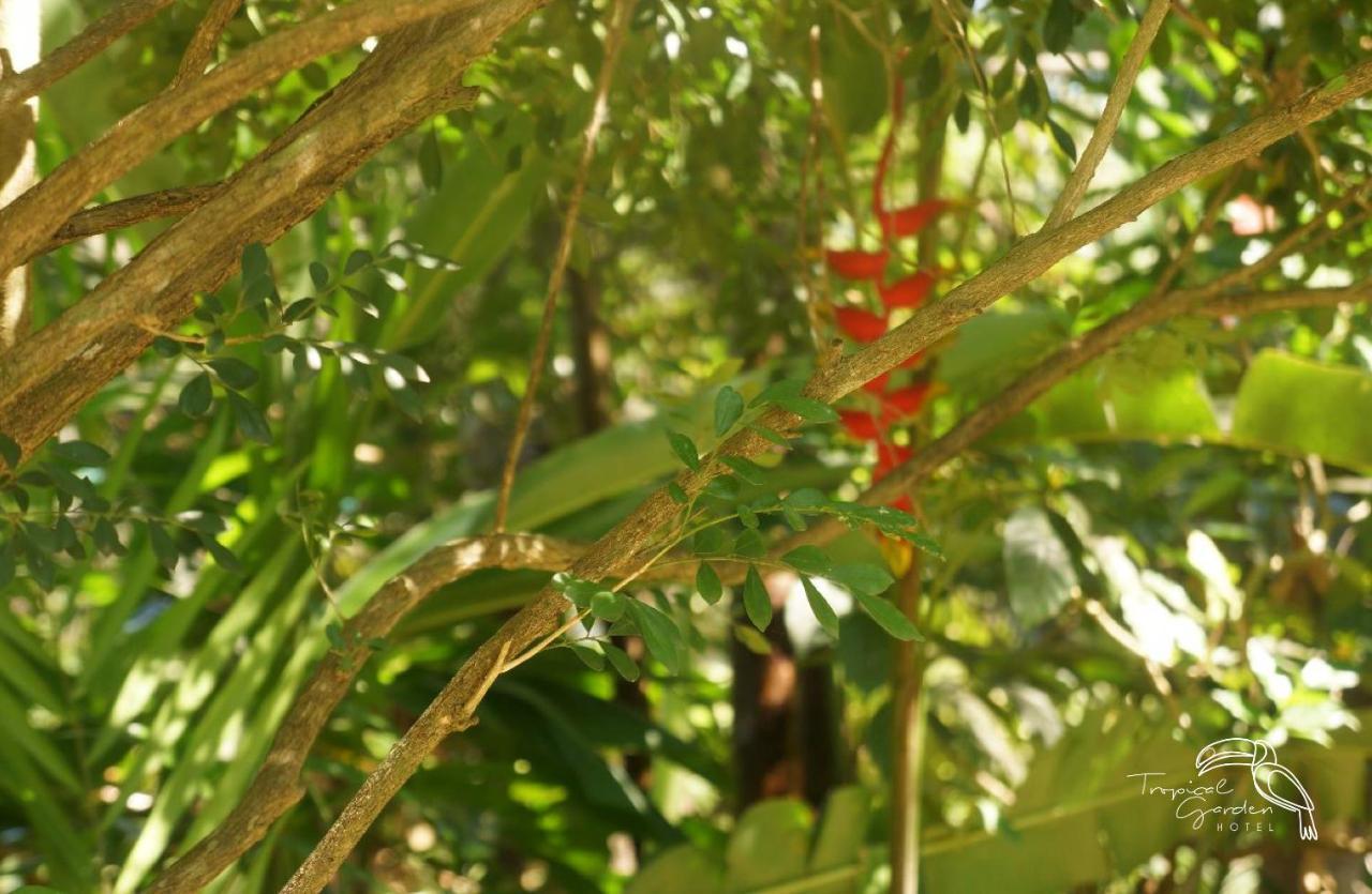 Hotel Tropical Garden Jacó