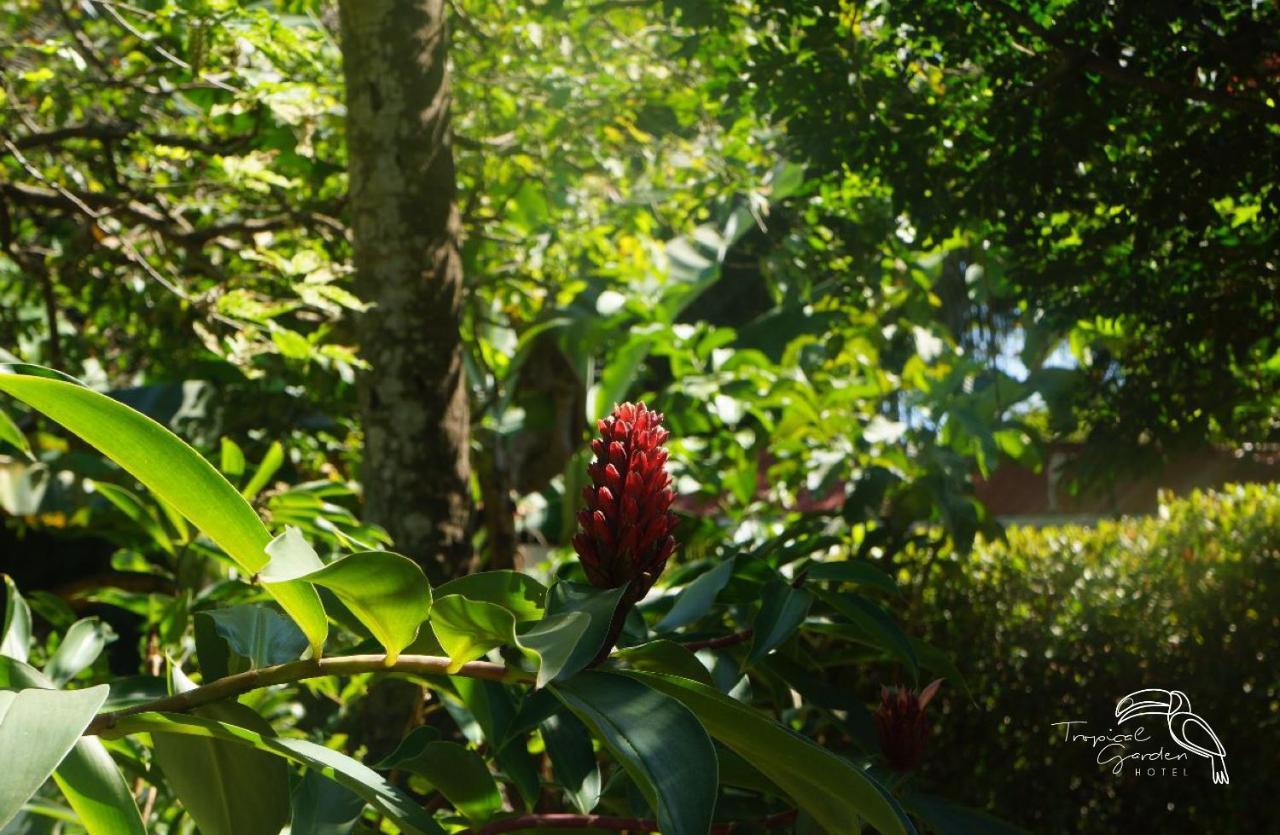 Hotel Tropical Garden 3*
